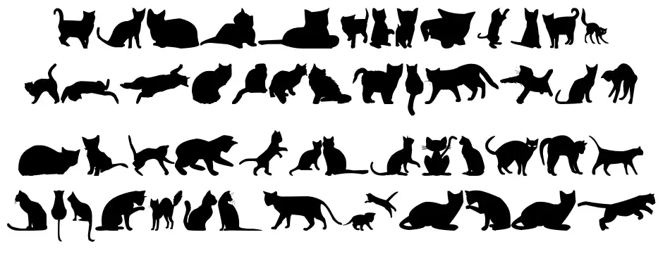 Kitty Cats tfb