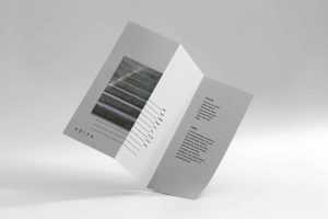 Letter Trifold Mockup