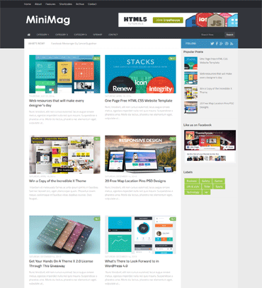 MiniMag