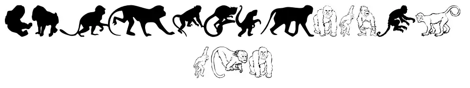 Monkeys DC Primates