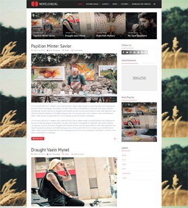 Novelo Blog