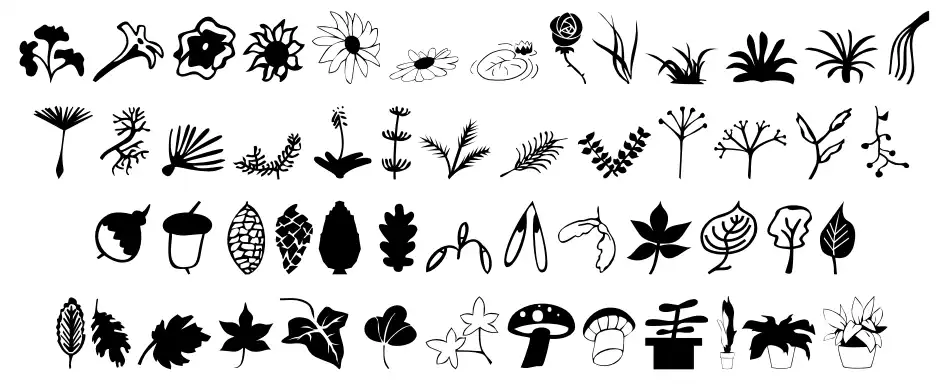 Plants