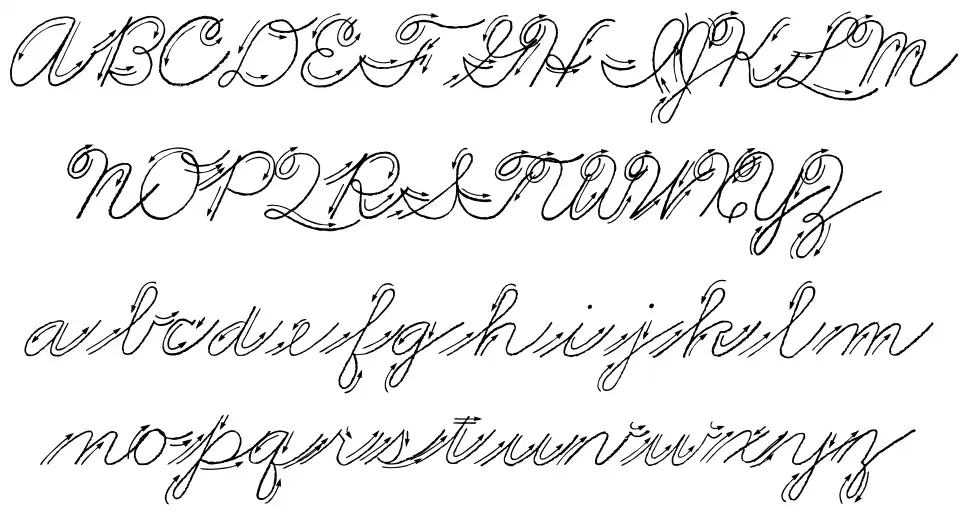 Premiers Mots Script