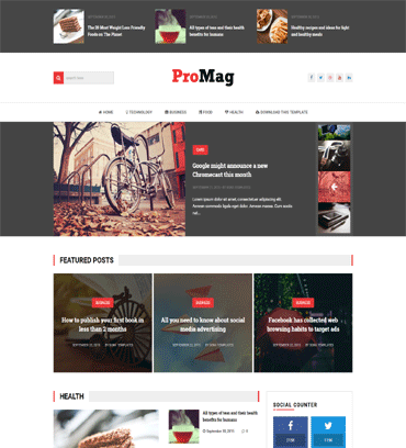 ProMag