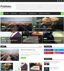 Publisher