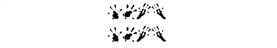 Rat Paws