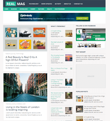 RealMag