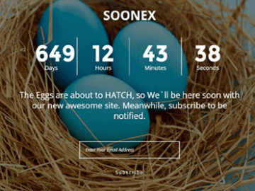 Soonex