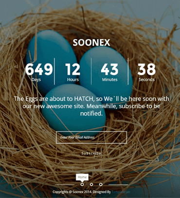 Soonex
