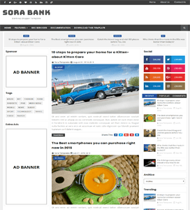 Sora Banking
