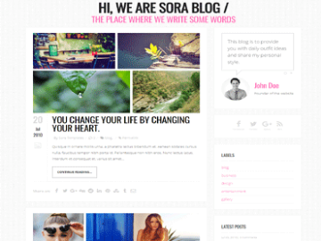 Sora Blog