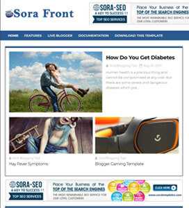 Sora Front