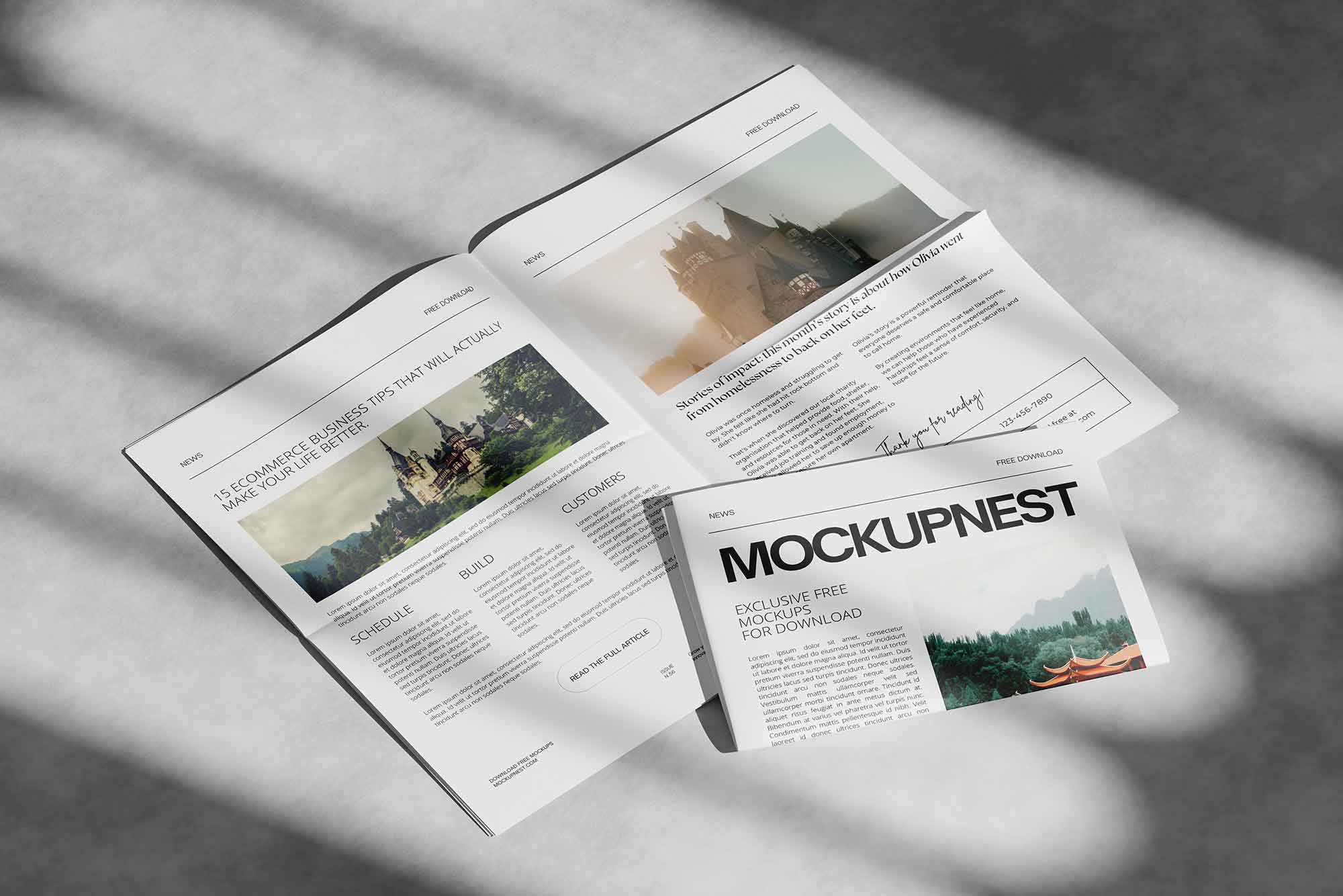Standard Newspaper Mockup