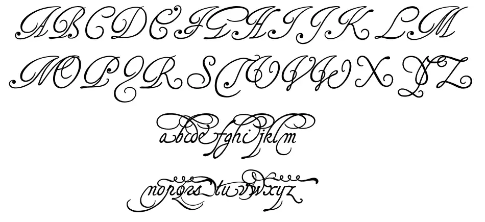Tagettes