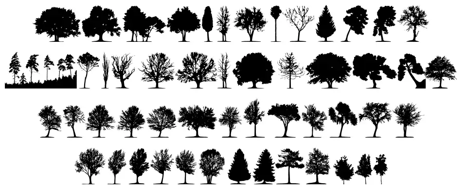 Trees TFB