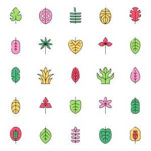 Tropical Leaves Icons