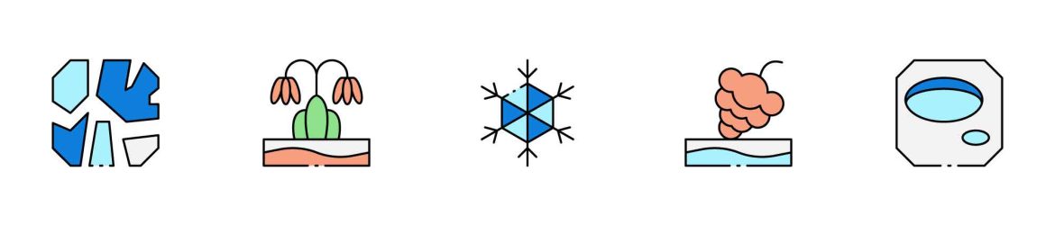 Winter Nature Icons Winter Nature Icons