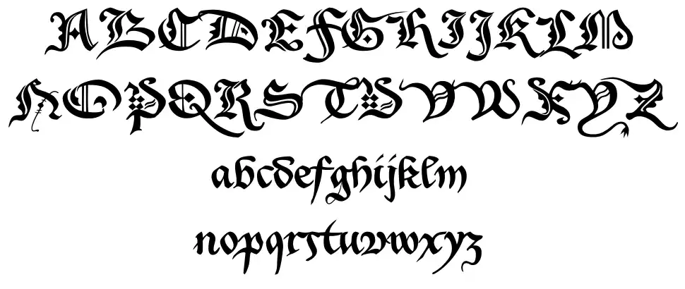 Xenippa