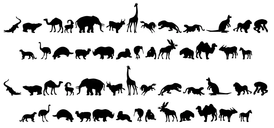Zoologic