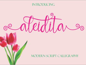 Aleidita Script Font