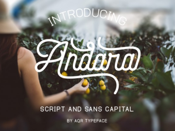 Andara Script Font