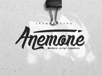 Anemone Script Font