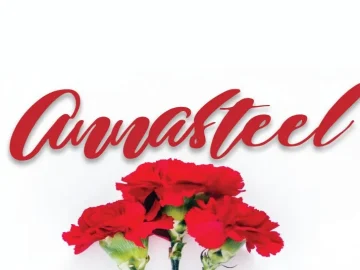 Annasteel - Bold Script Font