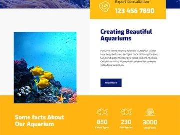 Aquarium - Free Aquarium