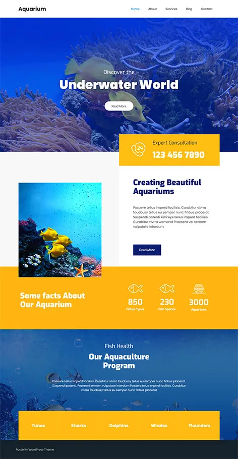 Aquarium - Free Aquarium