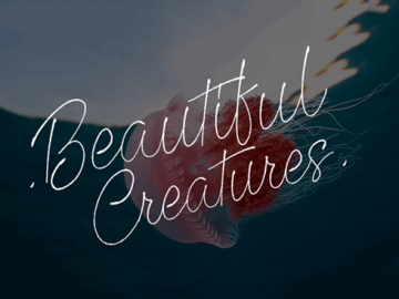 Beautiful Creatures Font
