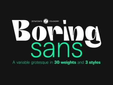 Boring Sans Font Family