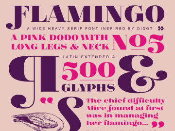 Fat Flamingo 5 Font