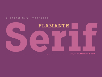 Flamante Serif Fonts