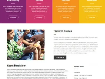Fundraiser Lite - Free NGO