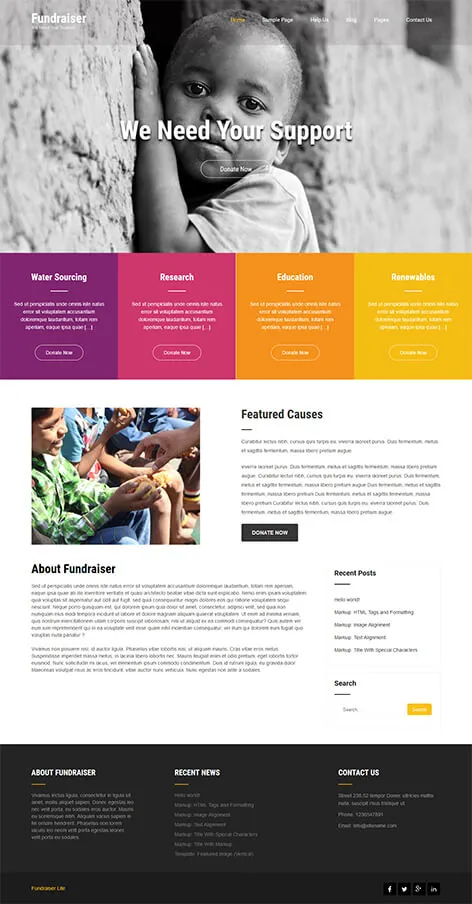 Fundraiser Lite - Free NGO
