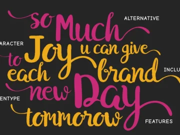 Hayuk Script Font