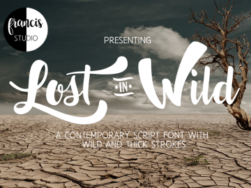 Lost in Wild Font
