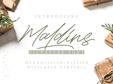 Maldins - Stylish Signature Font