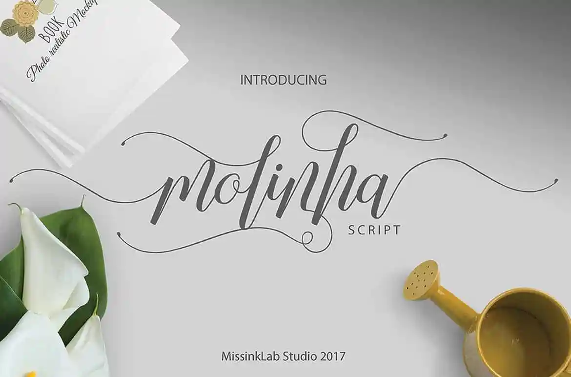 Molinha Script Font