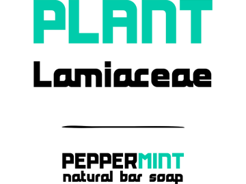 Peppermint Font
