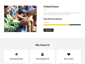 SKT Fundraiser Lite – Free Fundraising – Tema WordPress Grátis SKT Fundraiser Lite - Free Fundraising