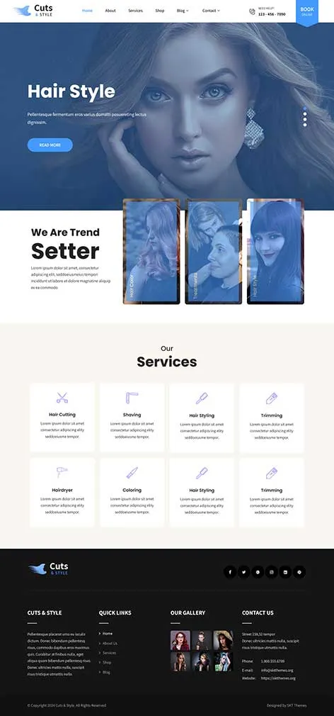 SKT Minimal Portfolio - Simple Portfolio