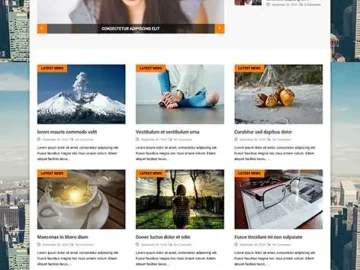 SKT NewsPaper Lite - WordPress News Theme Free