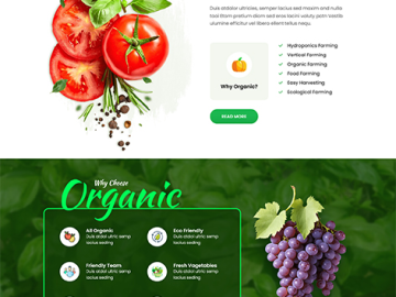 SKT Organic - Free Organic Shop