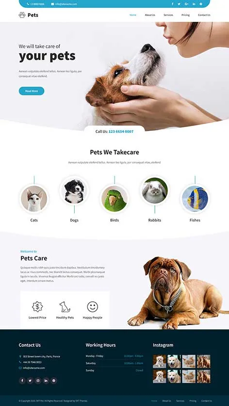 SKT Pet Nanny - Pet Sitting