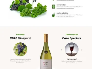 SKT Winery - Wine